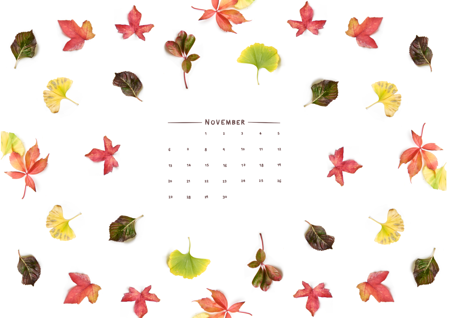 november-cal