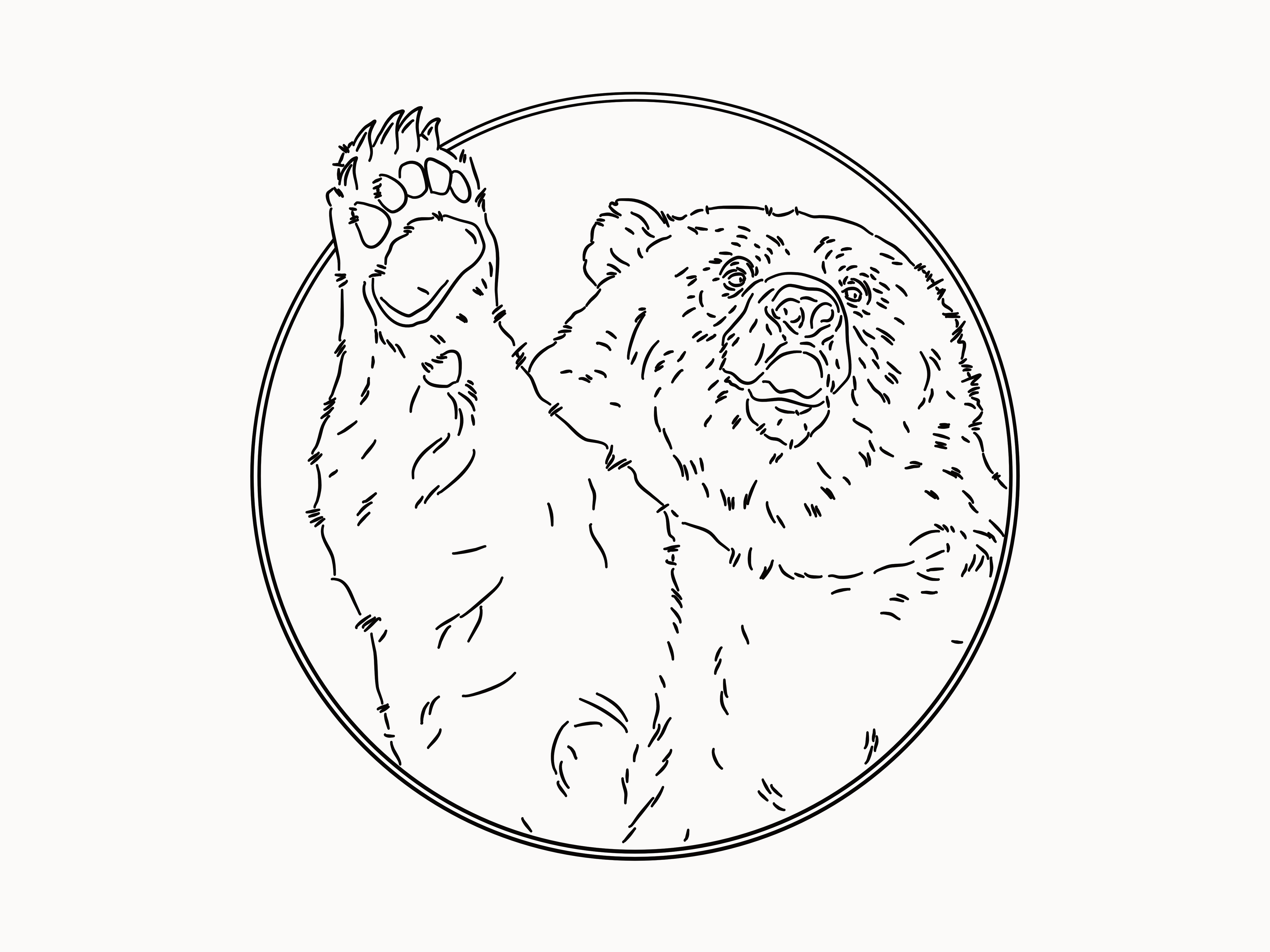 Bear waving hello illustration