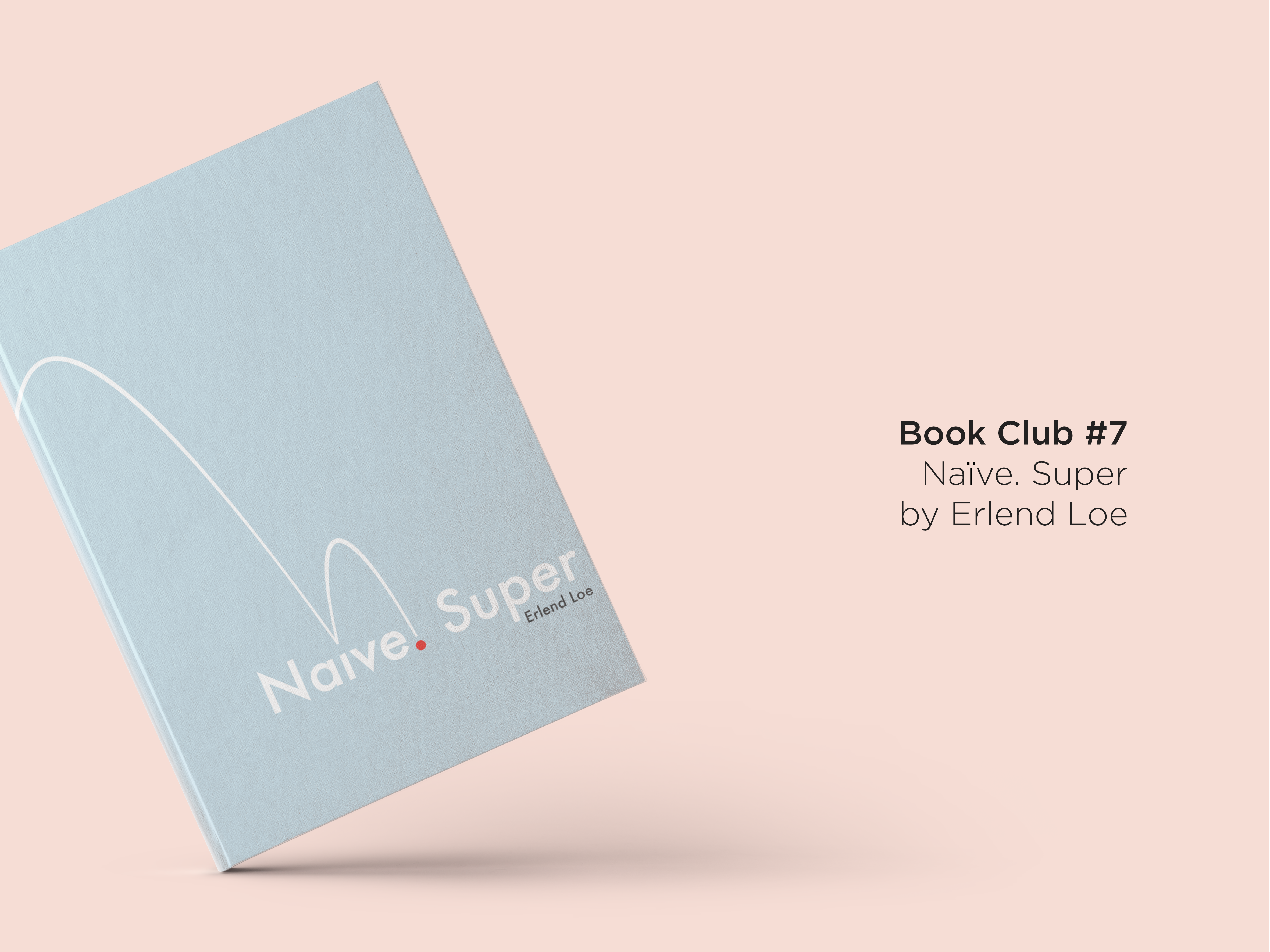 Naive Super by Erlend Loe Book Club Review